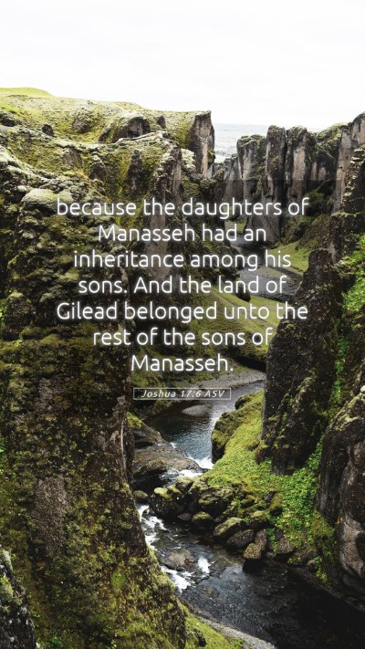 Picture 05 - Joshua 17:6 ASV Mobile Phone Wallpaper - because the daughters of Manasseh had an - Mobile Bible Verse Wallpaper
