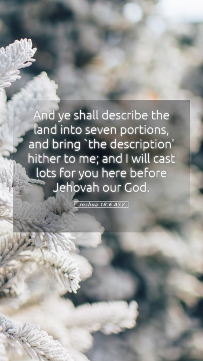 Picture 05 - Joshua 18:6 ASV Mobile Phone Wallpaper - And ye shall describe the land into seven - Mobile Bible Verse Wallpaper