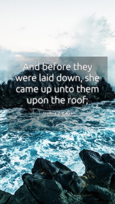 Picture 05 - Joshua 2:8 ASV Mobile Phone Wallpaper - And before they were laid down, she came up unto - Mobile Bible Verse Wallpaper
