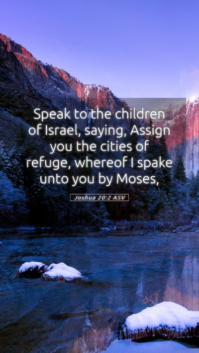 Picture 05 - Joshua 20:2 ASV Mobile Phone Wallpaper - Speak to the children of Israel, saying, Assign - Mobile Bible Verse Wallpaper