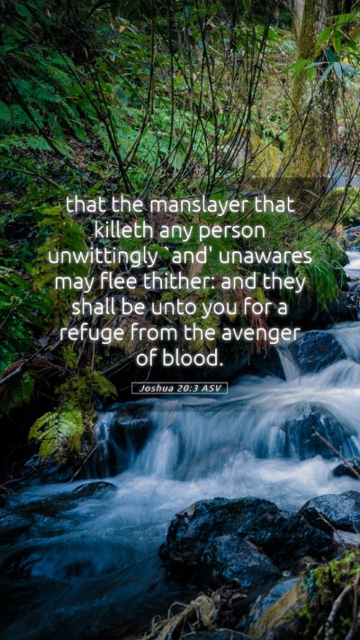 Picture 05 - Joshua 20:3 ASV Mobile Phone Wallpaper - that the manslayer that killeth any person - Mobile Bible Verse Wallpaper