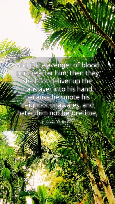 Picture 05 - Joshua 20:5 ASV Mobile Phone Wallpaper - And if the avenger of blood pursue after him, - Mobile Bible Verse Wallpaper