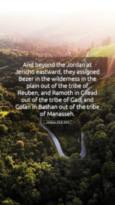 Picture 05 - Joshua 20:8 ASV Mobile Phone Wallpaper - And beyond the Jordan at Jericho eastward, they - Mobile Bible Verse Wallpaper
