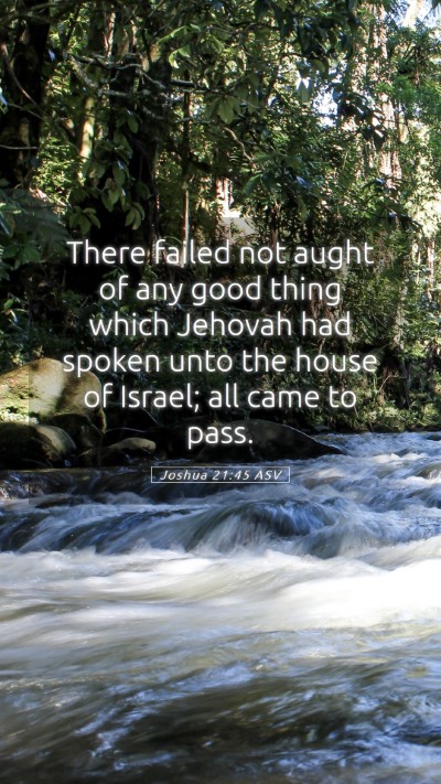 Picture 05 - Joshua 21:45 ASV Mobile Phone Wallpaper - There failed not aught of any good thing which - Mobile Bible Verse Wallpaper