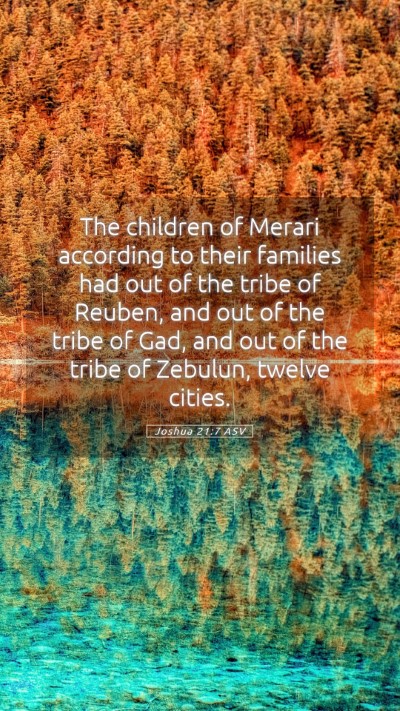 Picture 05 - Joshua 21:7 ASV Mobile Phone Wallpaper - The children of Merari according to their - Mobile Bible Verse Wallpaper