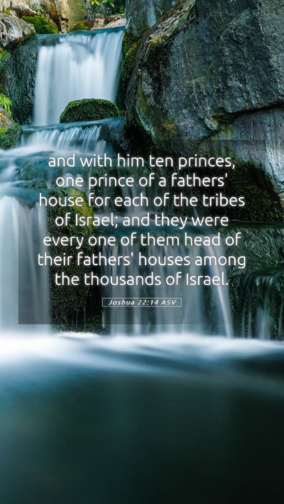Picture 05 - Joshua 22:14 ASV Mobile Phone Wallpaper - and with him ten princes, one prince of a - Mobile Bible Verse Wallpaper