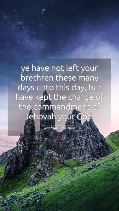 Picture 05 - Joshua 22:3 ASV Mobile Phone Wallpaper - ye have not left your brethren these many days - Mobile Bible Verse Wallpaper