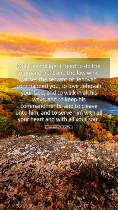Picture 05 - Joshua 22:5 ASV Mobile Phone Wallpaper - Only take diligent heed to do the commandment and - Mobile Bible Verse Wallpaper