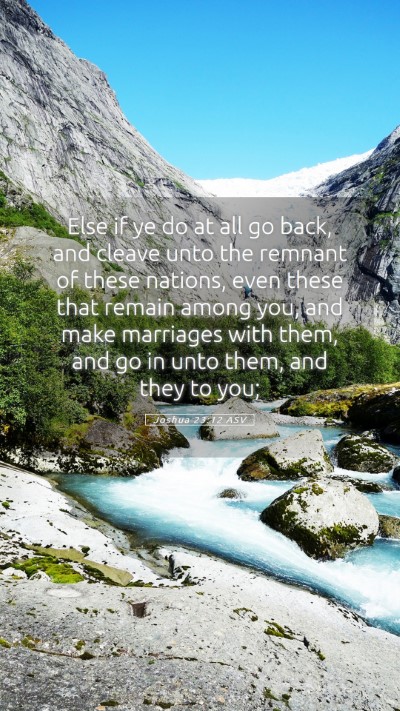Picture 05 - Joshua 23:12 ASV Mobile Phone Wallpaper - Else if ye do at all go back, and cleave unto the - Mobile Bible Verse Wallpaper