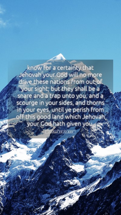 Picture 05 - Joshua 23:13 ASV Mobile Phone Wallpaper - know for a certainty that Jehovah your God will - Mobile Bible Verse Wallpaper