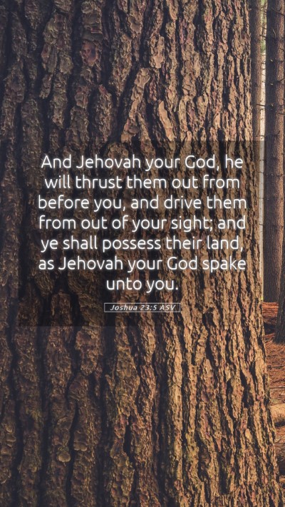 Picture 05 - Joshua 23:5 ASV Mobile Phone Wallpaper - And Jehovah your God, he will thrust them out - Mobile Bible Verse Wallpaper