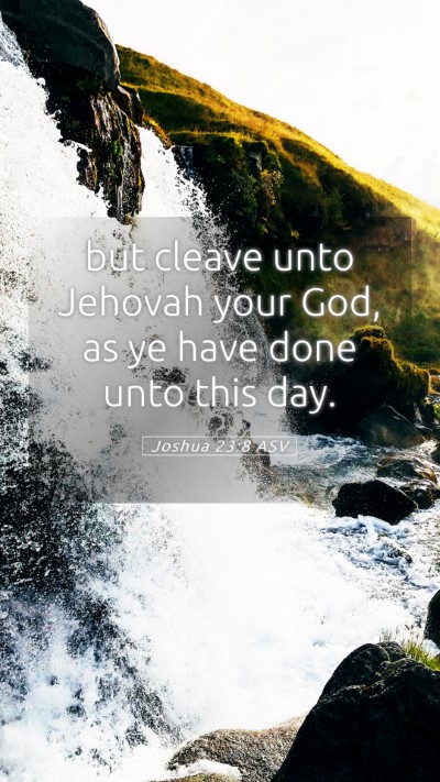 Picture 05 - Joshua 23:8 ASV Mobile Phone Wallpaper - but cleave unto Jehovah your God, as ye have done - Mobile Bible Verse Wallpaper