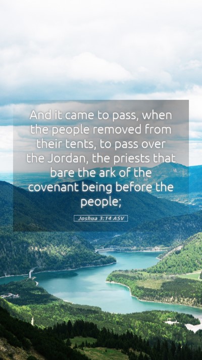 Picture 05 - Joshua 3:14 ASV Mobile Phone Wallpaper - And it came to pass, when the people removed from - Mobile Bible Verse Wallpaper