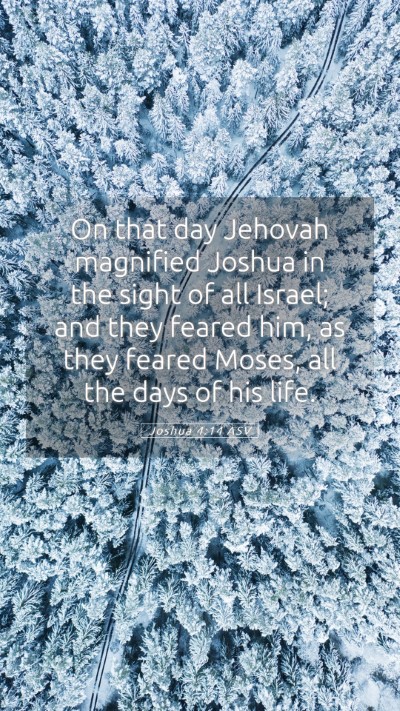 Picture 05 - Joshua 4:14 ASV Mobile Phone Wallpaper - On that day Jehovah magnified Joshua in the sight - Mobile Bible Verse Wallpaper