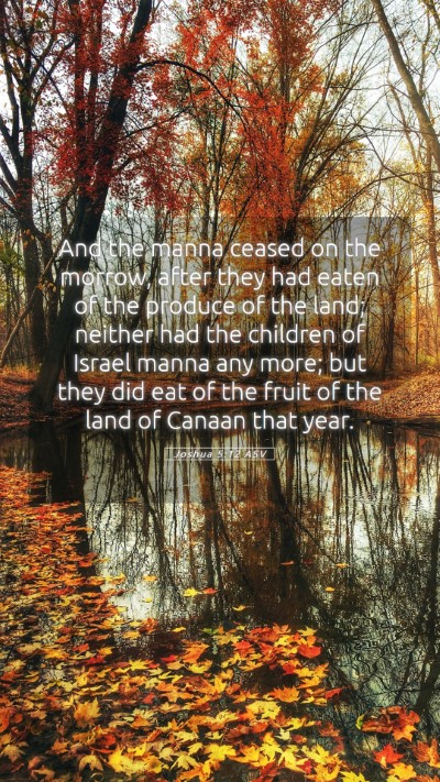 Picture 05 - Joshua 5:12 ASV Mobile Phone Wallpaper - And the manna ceased on the morrow, after they - Mobile Bible Verse Wallpaper