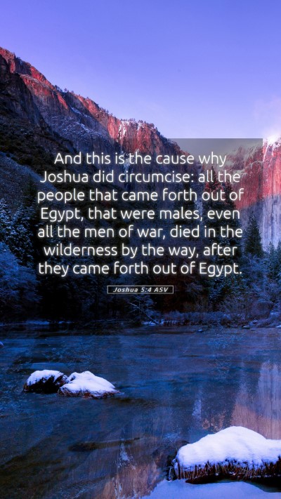 Picture 05 - Joshua 5:4 ASV Mobile Phone Wallpaper - And this is the cause why Joshua did circumcise: - Mobile Bible Verse Wallpaper
