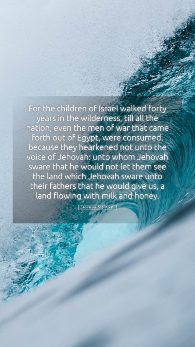 Picture 05 - Joshua 5:6 ASV Mobile Phone Wallpaper - For the children of Israel walked forty years in - Mobile Bible Verse Wallpaper