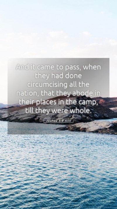 Picture 05 - Joshua 5:8 ASV Mobile Phone Wallpaper - And it came to pass, when they had done - Mobile Bible Verse Wallpaper
