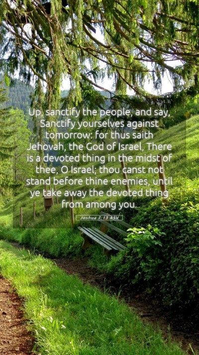 Picture 05 - Joshua 7:13 ASV Mobile Phone Wallpaper - Up, sanctify the people, and say, Sanctify - Mobile Bible Verse Wallpaper