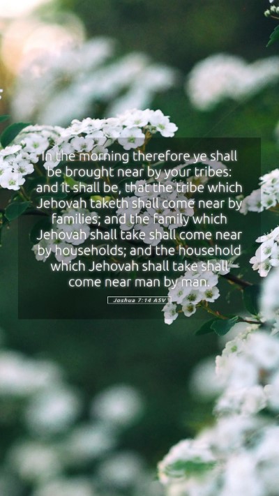 Picture 05 - Joshua 7:14 ASV Mobile Phone Wallpaper - In the morning therefore ye shall be brought near - Mobile Bible Verse Wallpaper