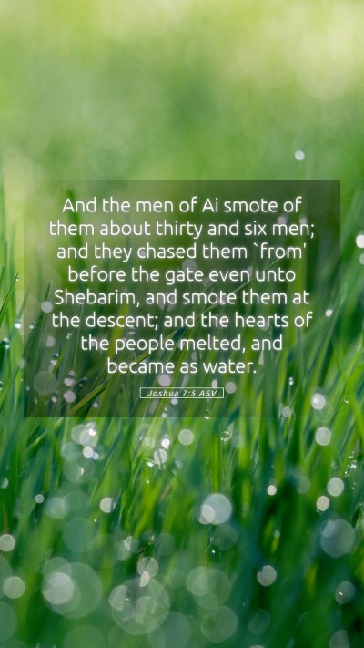 Picture 05 - Joshua 7:5 ASV Mobile Phone Wallpaper - And the men of Ai smote of them about thirty and - Mobile Bible Verse Wallpaper