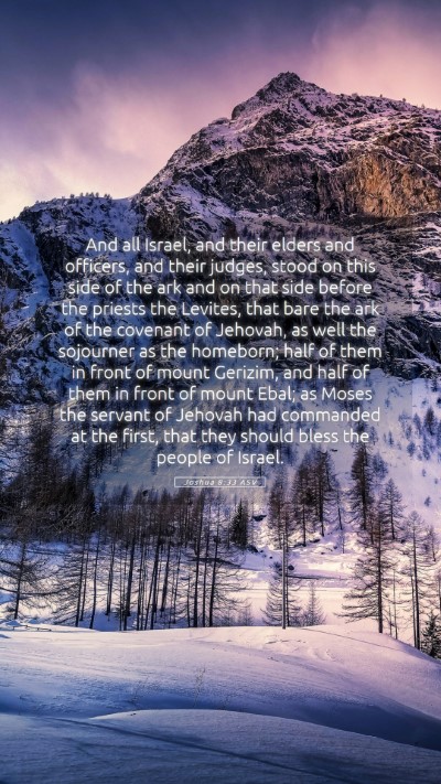 Picture 05 - Joshua 8:33 ASV Mobile Phone Wallpaper - And all Israel, and their elders and officers, - Mobile Bible Verse Wallpaper