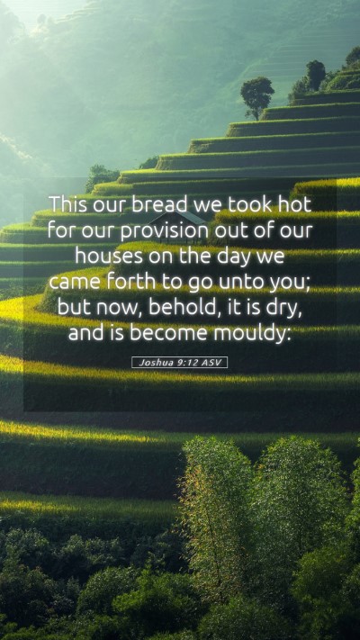 Picture 05 - Joshua 9:12 ASV Mobile Phone Wallpaper - This our bread we took hot for our provision out - Mobile Bible Verse Wallpaper