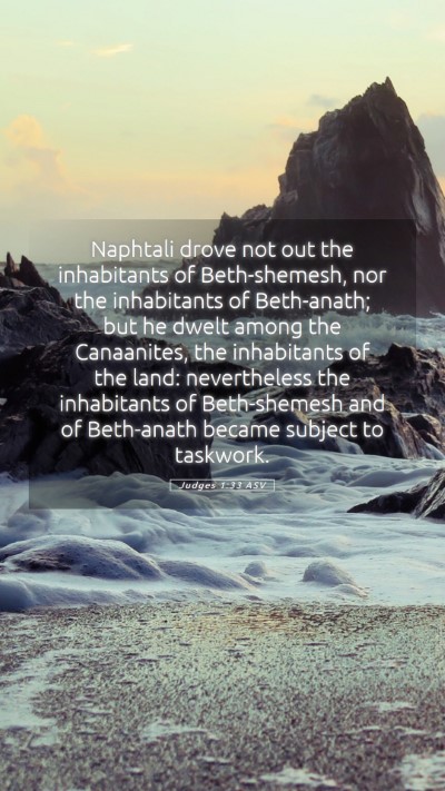 Picture 05 - Judges 1:33 ASV Mobile Phone Wallpaper - Naphtali drove not out the inhabitants of - Mobile Bible Verse Wallpaper