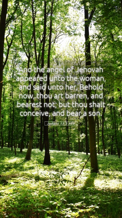 Picture 05 - Judges 13:3 ASV Mobile Phone Wallpaper - And the angel of Jehovah appeared unto the woman, - Mobile Bible Verse Wallpaper