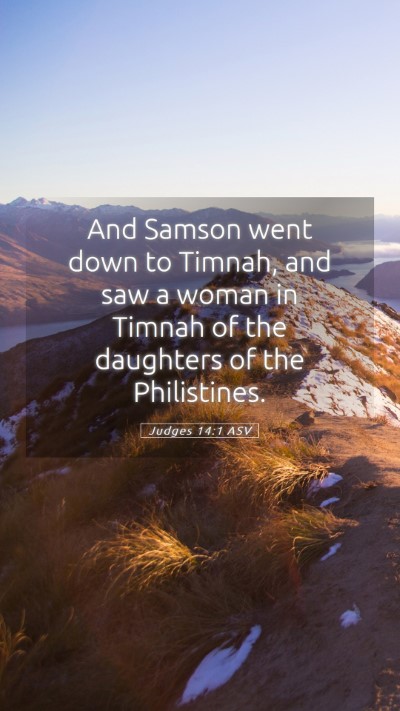 Picture 05 - Judges 14:1 ASV Mobile Phone Wallpaper - And Samson went down to Timnah, and saw a woman - Mobile Bible Verse Wallpaper