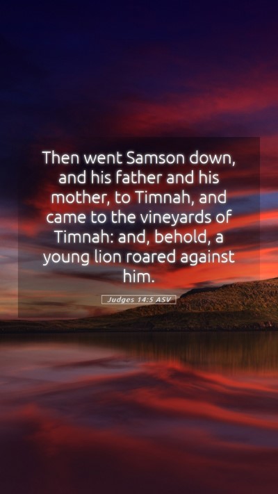 Picture 05 - Judges 14:5 ASV Mobile Phone Wallpaper - Then went Samson down, and his father and his - Mobile Bible Verse Wallpaper
