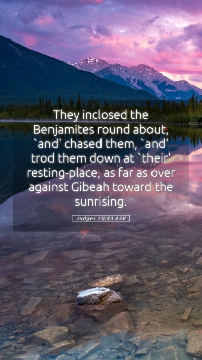 Picture 05 - Judges 20:43 ASV Mobile Phone Wallpaper - They inclosed the Benjamites round about, `and' - Mobile Bible Verse Wallpaper