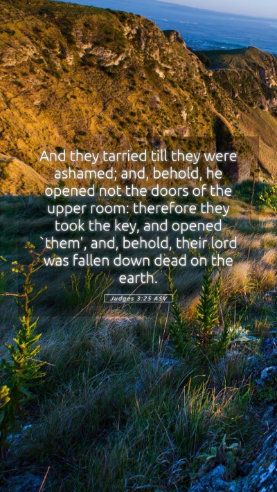 Picture 05 - Judges 3:25 ASV Mobile Phone Wallpaper - And they tarried till they were ashamed; and, - Mobile Bible Verse Wallpaper