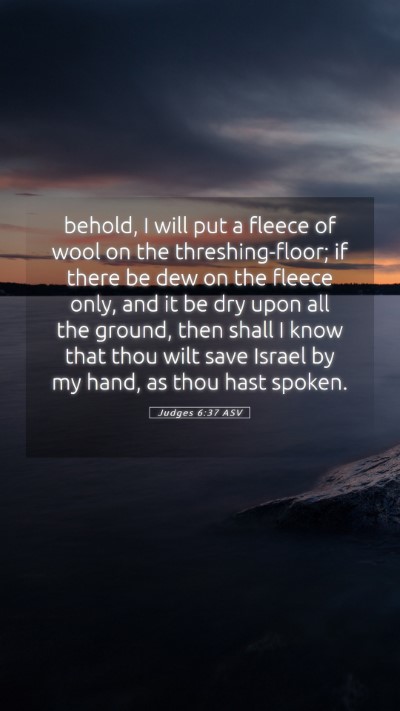 Picture 05 - Judges 6:37 ASV Mobile Phone Wallpaper - behold, I will put a fleece of wool on the - Mobile Bible Verse Wallpaper