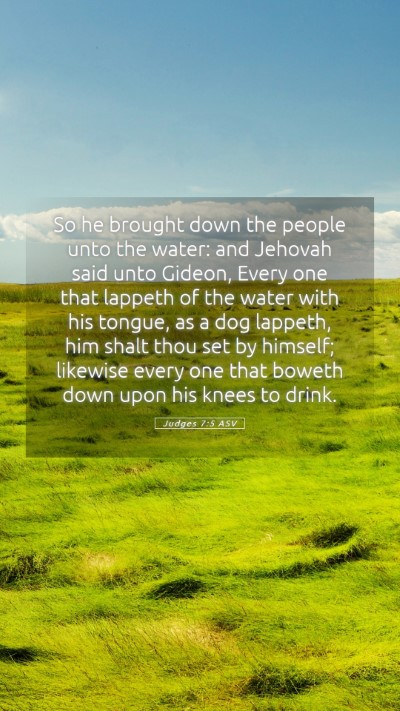 Picture 05 - Judges 7:5 ASV Mobile Phone Wallpaper - So he brought down the people unto the water: and - Mobile Bible Verse Wallpaper