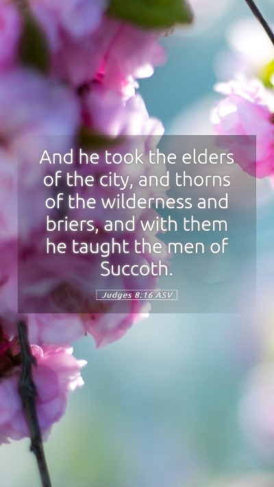 Picture 05 - Judges 8:16 ASV Mobile Phone Wallpaper - And he took the elders of the city, and thorns of - Mobile Bible Verse Wallpaper