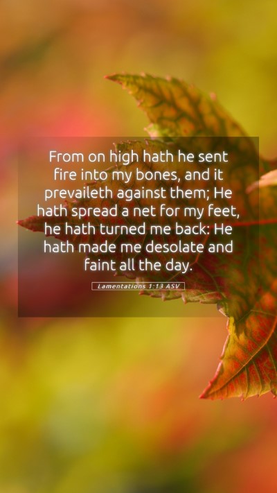 Picture 05 - Lamentations 1:13 ASV Mobile Phone Wallpaper - From on high hath he sent fire into my bones, and - Mobile Bible Verse Wallpaper