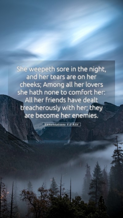 Picture 05 - Lamentations 1:2 ASV Mobile Phone Wallpaper - She weepeth sore in the night, and her tears are - Mobile Bible Verse Wallpaper