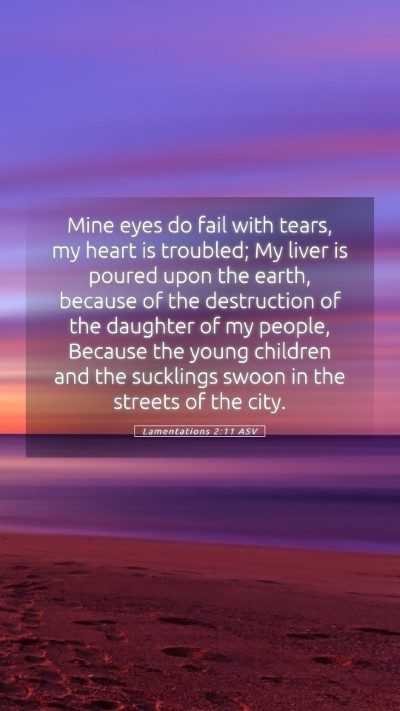 Picture 05 - Lamentations 2:11 ASV Mobile Phone Wallpaper - Mine eyes do fail with tears, my heart is - Mobile Bible Verse Wallpaper
