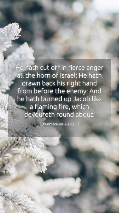 Picture 05 - Lamentations 2:3 ASV Mobile Phone Wallpaper - He hath cut off in fierce anger all the horn of - Mobile Bible Verse Wallpaper