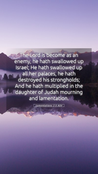 Picture 05 - Lamentations 2:5 ASV Mobile Phone Wallpaper - The Lord is become as an enemy, he hath swallowed - Mobile Bible Verse Wallpaper