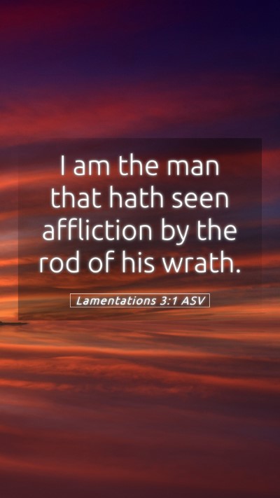 Picture 05 - Lamentations 3:1 ASV Mobile Phone Wallpaper - I am the man that hath seen affliction by the rod - Mobile Bible Verse Wallpaper