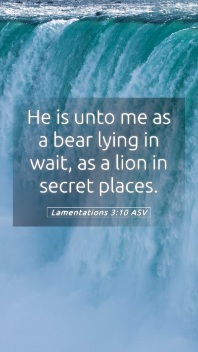 Picture 05 - Lamentations 3:10 ASV Mobile Phone Wallpaper - He is unto me as a bear lying in wait, as a lion - Mobile Bible Verse Wallpaper