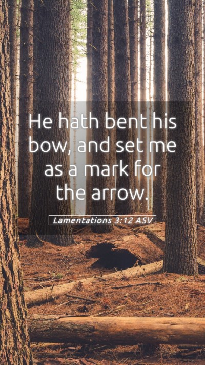 Picture 05 - Lamentations 3:12 ASV Mobile Phone Wallpaper - He hath bent his bow, and set me as a mark for - Mobile Bible Verse Wallpaper