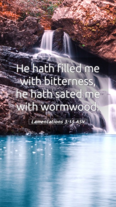 Picture 05 - Lamentations 3:15 ASV Mobile Phone Wallpaper - He hath filled me with bitterness, he hath sated - Mobile Bible Verse Wallpaper