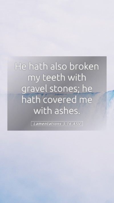 Picture 05 - Lamentations 3:16 ASV Mobile Phone Wallpaper - He hath also broken my teeth with gravel stones; - Mobile Bible Verse Wallpaper