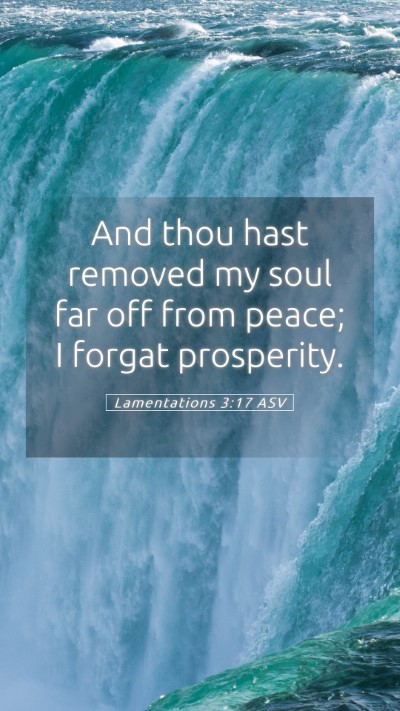 Picture 05 - Lamentations 3:17 ASV Mobile Phone Wallpaper - And thou hast removed my soul far off from peace; - Mobile Bible Verse Wallpaper