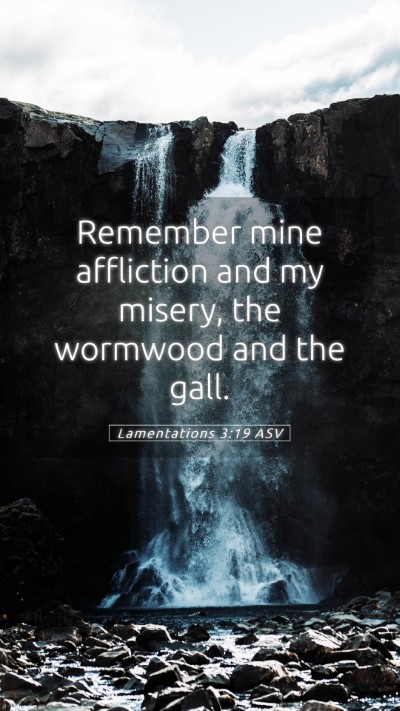 Picture 05 - Lamentations 3:19 ASV Mobile Phone Wallpaper - Remember mine affliction and my misery, the - Mobile Bible Verse Wallpaper
