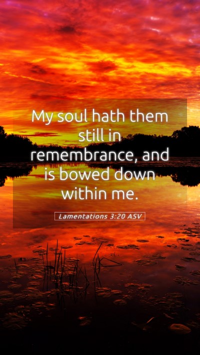 Picture 05 - Lamentations 3:20 ASV Mobile Phone Wallpaper - My soul hath them still in remembrance, and is - Mobile Bible Verse Wallpaper