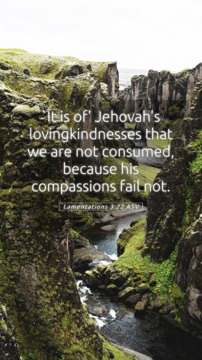Picture 05 - Lamentations 3:22 ASV Mobile Phone Wallpaper - `It is of' Jehovah's lovingkindnesses that we are - Mobile Bible Verse Wallpaper
